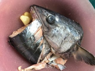 Braised Spanish Mackerel Head recipe