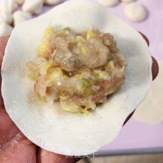 Sanxian Dumplings recipe