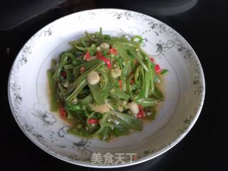 Spicy Stir-fried Convolvulus Stem recipe