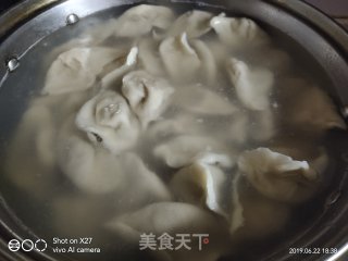 Shrimp and Pork Dumplings recipe