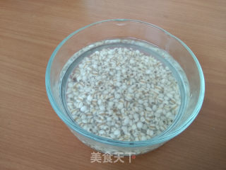 Barley and Winter Melon Pork Rib Soup recipe
