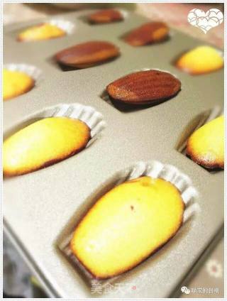 Madeleine, A Different Colored Shell Cake recipe