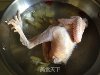 【white Chicken】 recipe