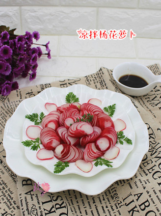 Yanghua Radish is Greedy recipe