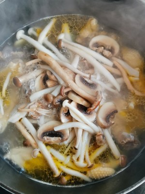 Mushroom Chicken Soup recipe