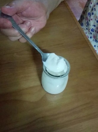 Easy to Make Delicious Yogurt recipe