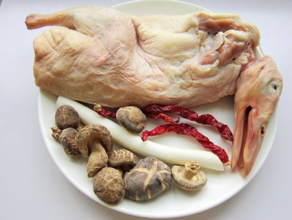 Braised Red-billed Goose with Mushrooms recipe