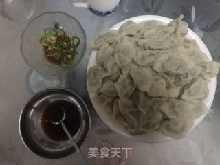 Pork Dumplings with Cabbage recipe