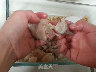 Trotter Soy Jelly recipe