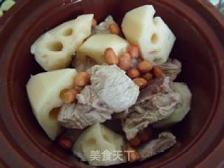 Lotus Root Pork Ribs Soup recipe