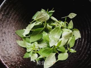 Nepeta Mixed with Cucumber recipe