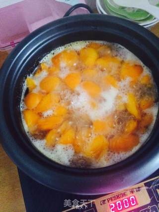 Canned Apricots Vs Syrup recipe