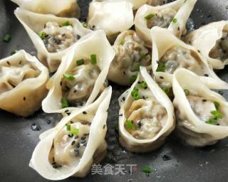 Pan-fried Sophoria Beef Wonton recipe