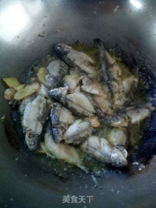 Crucian Fish Soup recipe