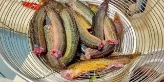 Spicy Fish Loach recipe