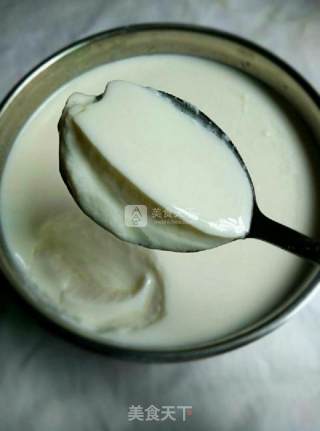 Homemade Old Yogurt recipe