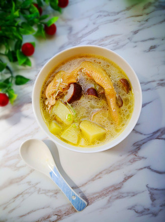 Potato and Mushroom Chicken Soup