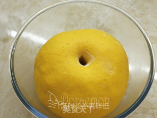 Whole Wheat Pumpkin Rolls recipe