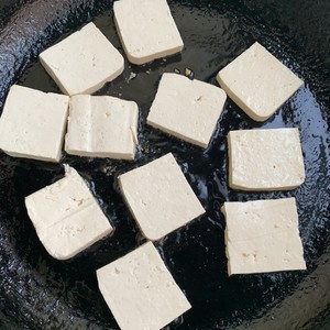 Delicious Reduced Fat Meal: Pan-fried Cumin Tofu recipe