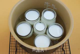 Plain Yogurt-rice Cooker Version recipe