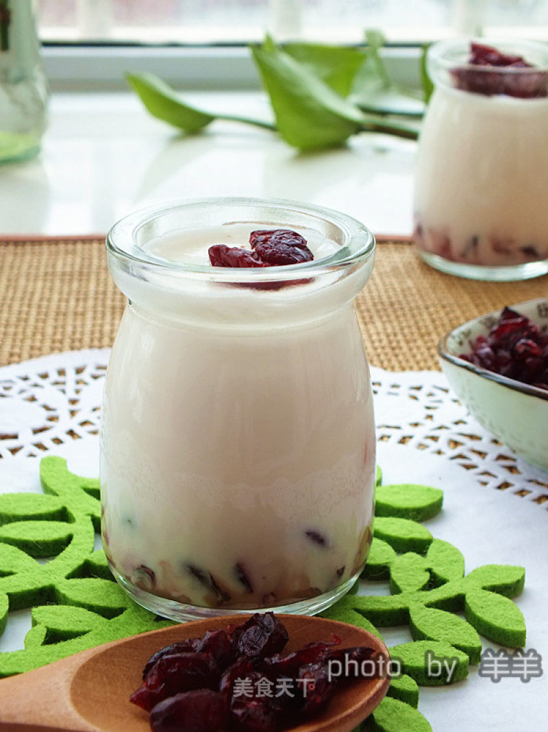 Cranberry Yogurt recipe