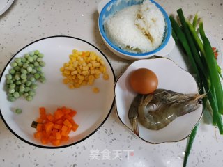 Fried Rice with Shrimp and Egg recipe