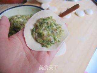 It Makes No Sense to Like You-parsley Pork Buns recipe