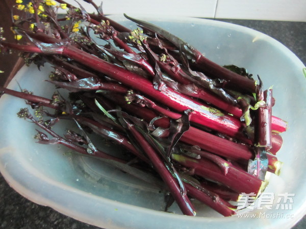 Stir-fried Red Cabbage Moss recipe