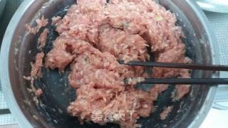 Gluten Stuffed Meat recipe