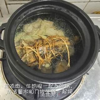 Milk Root Bamboo Fungus Chicken Soup recipe