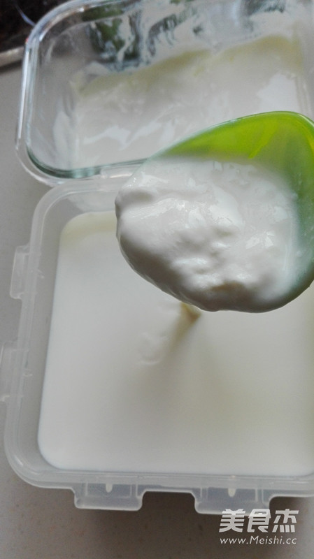 Homemade Greek Yogurt recipe