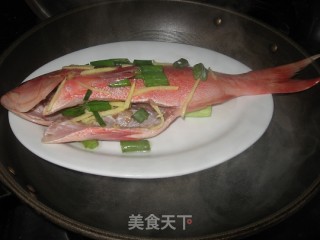 Steamed Red Snapper recipe