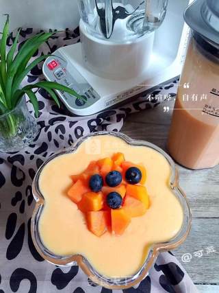 Papaya Milk recipe