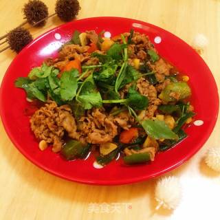 Cumin Lamb recipe