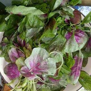 Stir-fried Amaranth recipe