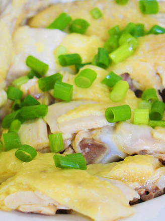 Delicious and Easy-to-make Home-style White Sliced Chicken recipe