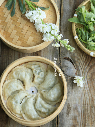 Steamed Dumplings with Shepherd's Purse and Vegetable Stuffing recipe