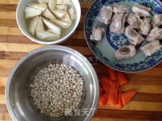 Burdock Barley Spare Ribs Soup----sky Dgzn22-22bwg Cloud Smart Waterproof Electric Cooker Experience recipe