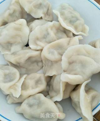 Dumplings Stuffed with Pork, Leek and Cabbage recipe