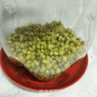 Use Cola Bottle to Grow Bean Sprouts recipe