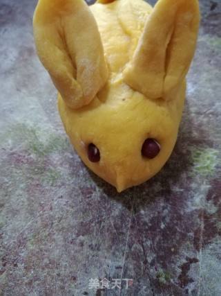 Bunny recipe