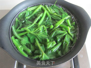 Stir-fried Pumpkin Leaves with Minced Meat recipe