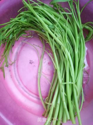 Vinegar Convolvulus Stems recipe