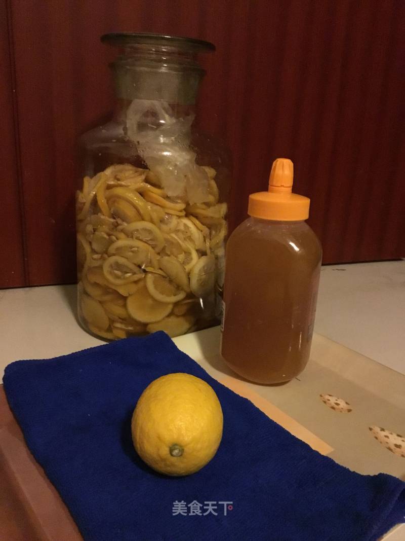 Ginger Lemon Enzyme recipe