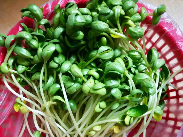 Black Bean Sprouts in Soup recipe
