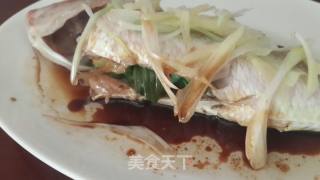 Steamed Rainbow Trout recipe