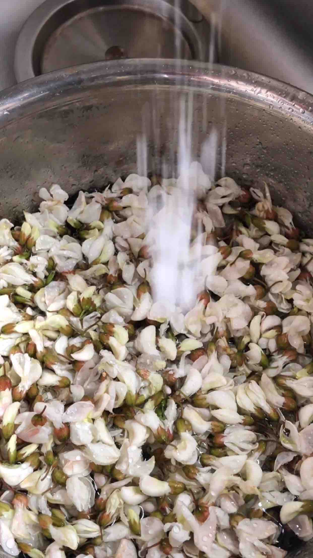 Sophora Japonica recipe