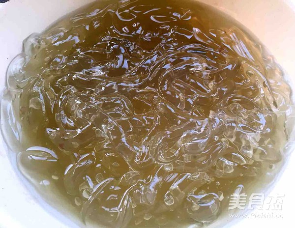 Sea Jelly recipe