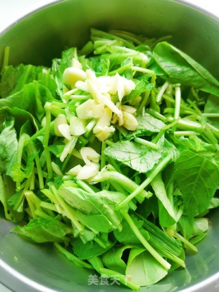 Stir-fried Radish Seedlings recipe