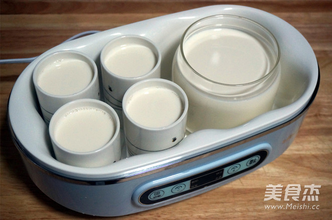 Cup Yogurt Homemade Yogurt with More Beneficial Bacteria recipe